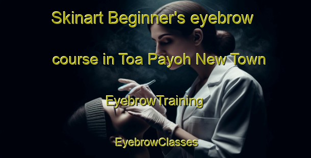 Skinart Beginner's eyebrow course in Toa Payoh New Town | EyebrowTraining | EyebrowClasses | SkinartTraining-Singapore