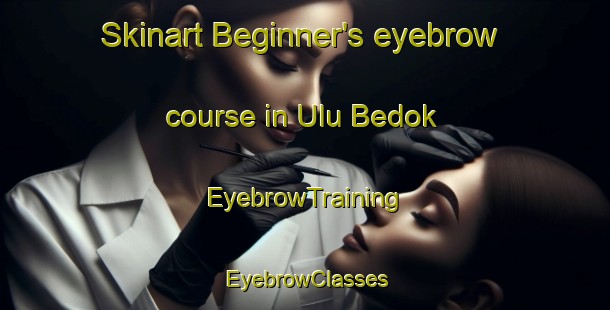 Skinart Beginner's eyebrow course in Ulu Bedok | EyebrowTraining | EyebrowClasses | SkinartTraining-Singapore
