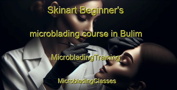 Skinart Beginner's microblading course in Bulim | MicrobladingTraining | MicrobladingClasses | SkinartTraining-Singapore