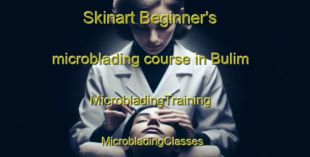 Skinart Beginner's microblading course in Bulim | MicrobladingTraining | MicrobladingClasses | SkinartTraining-Singapore