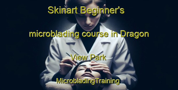 Skinart Beginner's microblading course in Dragon View Park | #MicrobladingTraining #MicrobladingClasses #SkinartTraining-Singapore