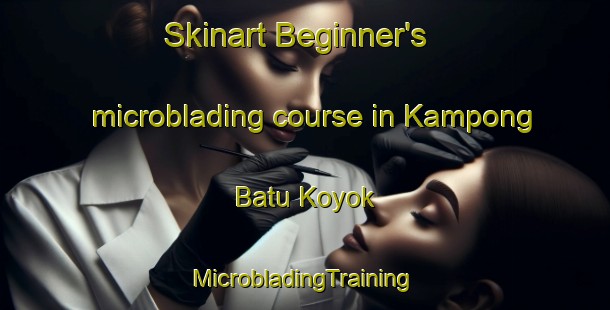 Skinart Beginner's microblading course in Kampong Batu Koyok | #MicrobladingTraining #MicrobladingClasses #SkinartTraining-Singapore