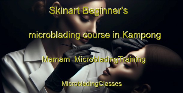 Skinart Beginner's microblading course in Kampong Mamam | #MicrobladingTraining #MicrobladingClasses #SkinartTraining-Singapore