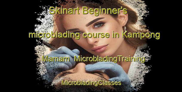 Skinart Beginner's microblading course in Kampong Mamam | #MicrobladingTraining #MicrobladingClasses #SkinartTraining-Singapore