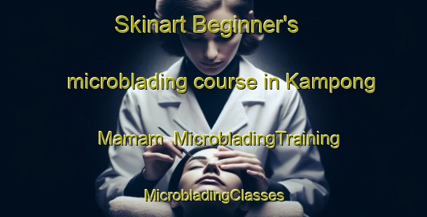 Skinart Beginner's microblading course in Kampong Mamam | #MicrobladingTraining #MicrobladingClasses #SkinartTraining-Singapore