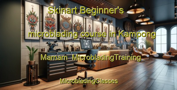 Skinart Beginner's microblading course in Kampong Mamam | #MicrobladingTraining #MicrobladingClasses #SkinartTraining-Singapore