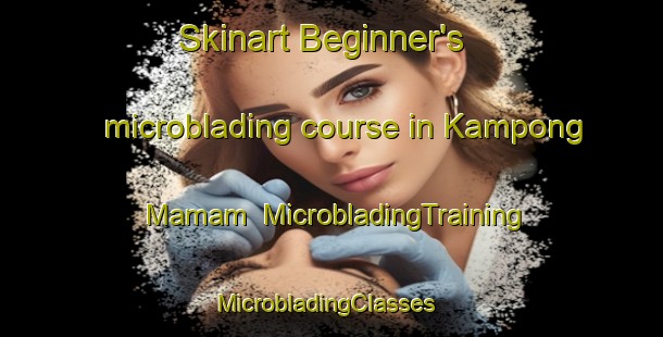Skinart Beginner's microblading course in Kampong Mamam | MicrobladingTraining | MicrobladingClasses | SkinartTraining-Singapore