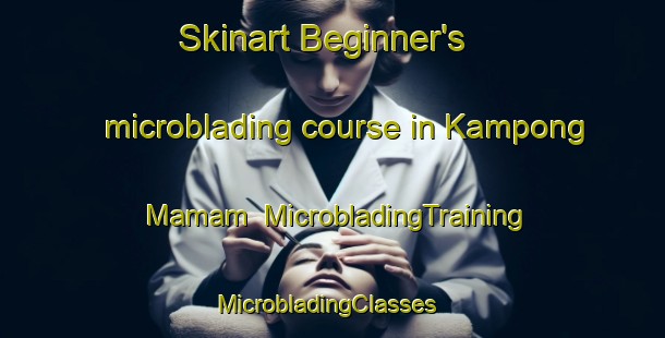 Skinart Beginner's microblading course in Kampong Mamam | MicrobladingTraining | MicrobladingClasses | SkinartTraining-Singapore