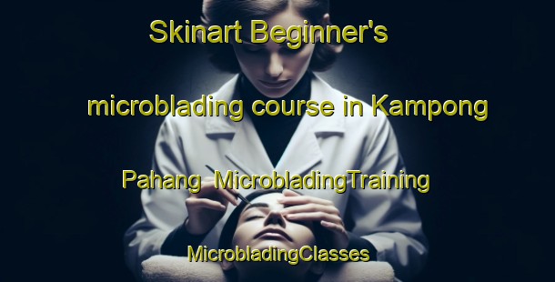 Skinart Beginner's microblading course in Kampong Pahang | #MicrobladingTraining #MicrobladingClasses #SkinartTraining-Singapore