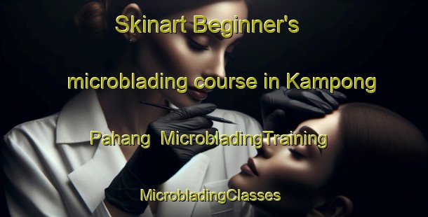 Skinart Beginner's microblading course in Kampong Pahang | MicrobladingTraining | MicrobladingClasses | SkinartTraining-Singapore