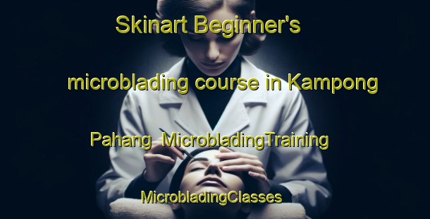 Skinart Beginner's microblading course in Kampong Pahang | MicrobladingTraining | MicrobladingClasses | SkinartTraining-Singapore