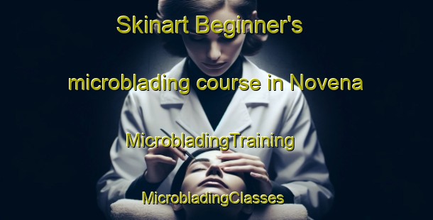 Skinart Beginner's microblading course in Novena | MicrobladingTraining | MicrobladingClasses | SkinartTraining-Singapore
