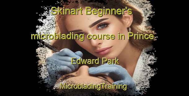 Skinart Beginner's microblading course in Prince Edward Park | #MicrobladingTraining #MicrobladingClasses #SkinartTraining-Singapore