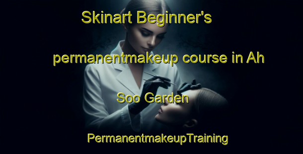 Skinart Beginner's permanentmakeup course in Ah Soo Garden | #PermanentmakeupTraining #PermanentmakeupClasses #SkinartTraining-Singapore