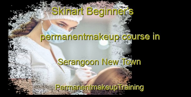 Skinart Beginner's permanentmakeup course in Serangoon New Town | #PermanentmakeupTraining #PermanentmakeupClasses #SkinartTraining-Singapore