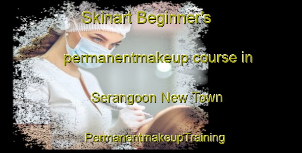 Skinart Beginner's permanentmakeup course in Serangoon New Town | PermanentmakeupTraining | PermanentmakeupClasses | SkinartTraining-Singapore