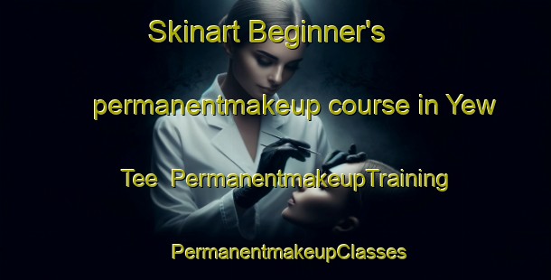 Skinart Beginner's permanentmakeup course in Yew Tee | #PermanentmakeupTraining #PermanentmakeupClasses #SkinartTraining-Singapore