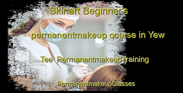 Skinart Beginner's permanentmakeup course in Yew Tee | #PermanentmakeupTraining #PermanentmakeupClasses #SkinartTraining-Singapore