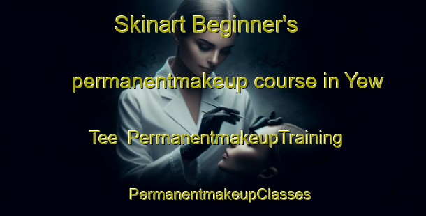 Skinart Beginner's permanentmakeup course in Yew Tee | PermanentmakeupTraining | PermanentmakeupClasses | SkinartTraining-Singapore