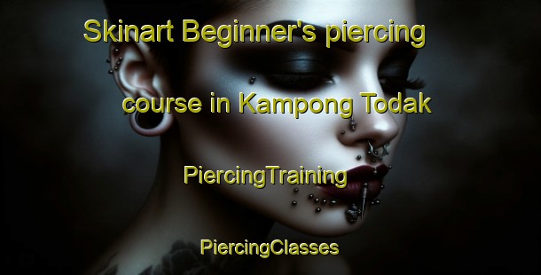 Skinart Beginner's piercing course in Kampong Todak | #PiercingTraining #PiercingClasses #SkinartTraining-Singapore