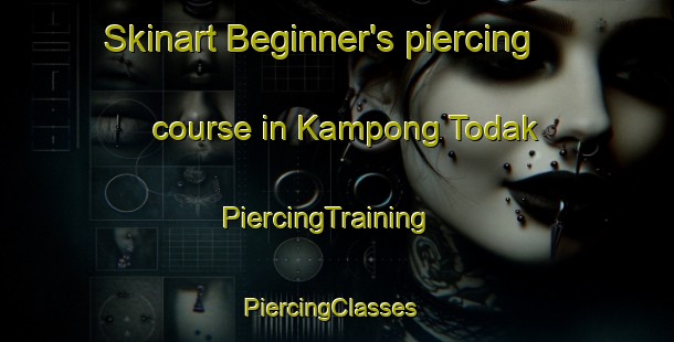 Skinart Beginner's piercing course in Kampong Todak | PiercingTraining | PiercingClasses | SkinartTraining-Singapore
