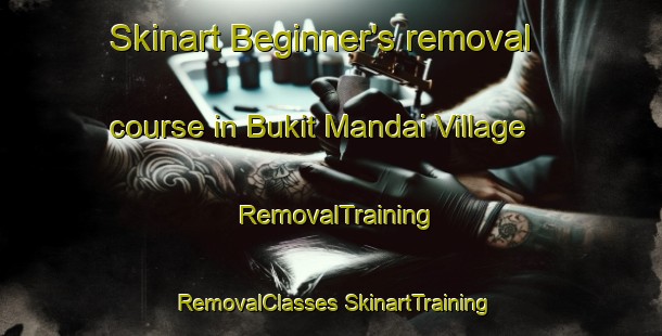 Skinart Beginner's removal course in Bukit Mandai Village | #RemovalTraining #RemovalClasses #SkinartTraining-Singapore