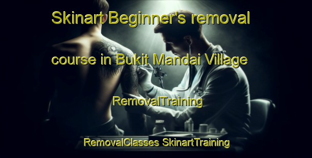 Skinart Beginner's removal course in Bukit Mandai Village | #RemovalTraining #RemovalClasses #SkinartTraining-Singapore