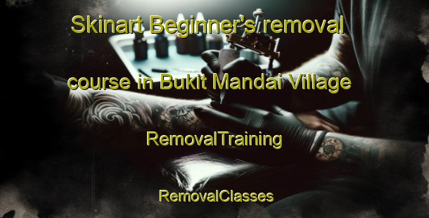 Skinart Beginner's removal course in Bukit Mandai Village | RemovalTraining | RemovalClasses | SkinartTraining-Singapore
