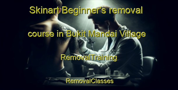 Skinart Beginner's removal course in Bukit Mandai Village | RemovalTraining | RemovalClasses | SkinartTraining-Singapore