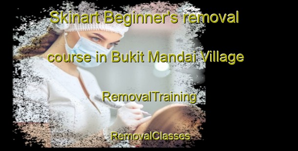Skinart Beginner's removal course in Bukit Mandai Village | RemovalTraining | RemovalClasses | SkinartTraining-Singapore