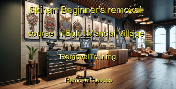 Skinart Beginner's removal course in Bukit Mandai Village | RemovalTraining | RemovalClasses | SkinartTraining-Singapore