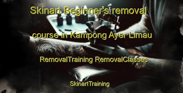 Skinart Beginner's removal course in Kampong Ayer Limau | #RemovalTraining #RemovalClasses #SkinartTraining-Singapore