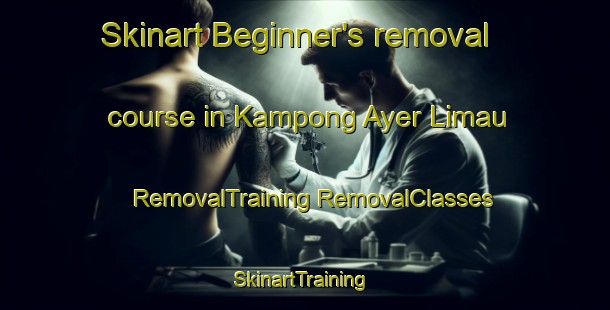 Skinart Beginner's removal course in Kampong Ayer Limau | #RemovalTraining #RemovalClasses #SkinartTraining-Singapore