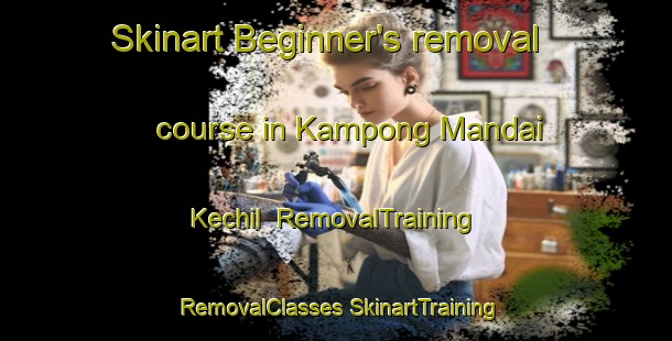 Skinart Beginner's removal course in Kampong Mandai Kechil | #RemovalTraining #RemovalClasses #SkinartTraining-Singapore