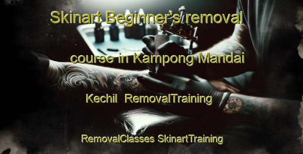 Skinart Beginner's removal course in Kampong Mandai Kechil | #RemovalTraining #RemovalClasses #SkinartTraining-Singapore