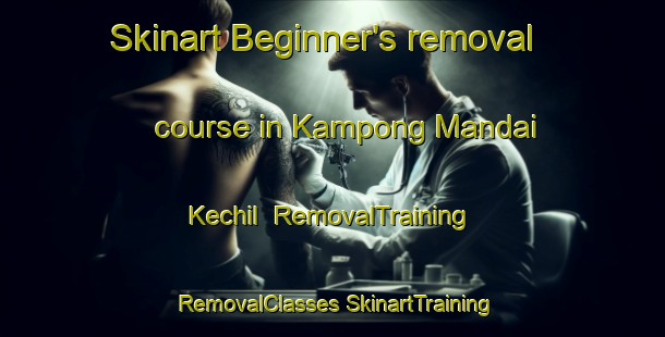 Skinart Beginner's removal course in Kampong Mandai Kechil | #RemovalTraining #RemovalClasses #SkinartTraining-Singapore