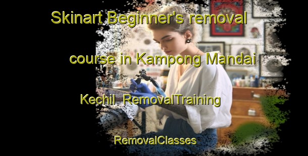 Skinart Beginner's removal course in Kampong Mandai Kechil | RemovalTraining | RemovalClasses | SkinartTraining-Singapore