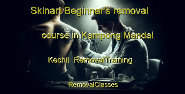 Skinart Beginner's removal course in Kampong Mandai Kechil | RemovalTraining | RemovalClasses | SkinartTraining-Singapore