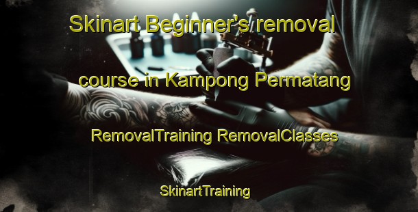 Skinart Beginner's removal course in Kampong Permatang | #RemovalTraining #RemovalClasses #SkinartTraining-Singapore