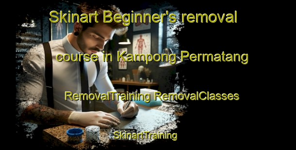 Skinart Beginner's removal course in Kampong Permatang | #RemovalTraining #RemovalClasses #SkinartTraining-Singapore