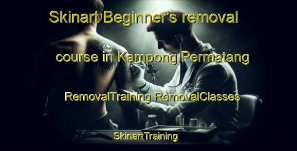 Skinart Beginner's removal course in Kampong Permatang | #RemovalTraining #RemovalClasses #SkinartTraining-Singapore