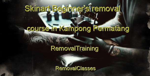 Skinart Beginner's removal course in Kampong Permatang | RemovalTraining | RemovalClasses | SkinartTraining-Singapore