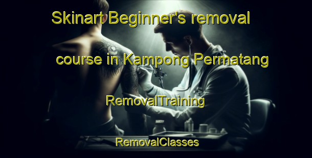 Skinart Beginner's removal course in Kampong Permatang | RemovalTraining | RemovalClasses | SkinartTraining-Singapore