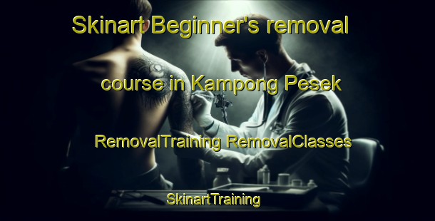 Skinart Beginner's removal course in Kampong Pesek | #RemovalTraining #RemovalClasses #SkinartTraining-Singapore