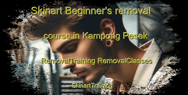 Skinart Beginner's removal course in Kampong Pesek | #RemovalTraining #RemovalClasses #SkinartTraining-Singapore