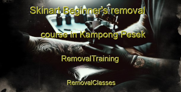 Skinart Beginner's removal course in Kampong Pesek | RemovalTraining | RemovalClasses | SkinartTraining-Singapore