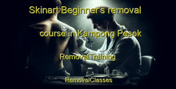 Skinart Beginner's removal course in Kampong Pesek | RemovalTraining | RemovalClasses | SkinartTraining-Singapore