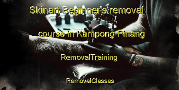 Skinart Beginner's removal course in Kampong Pinang | RemovalTraining | RemovalClasses | SkinartTraining-Singapore