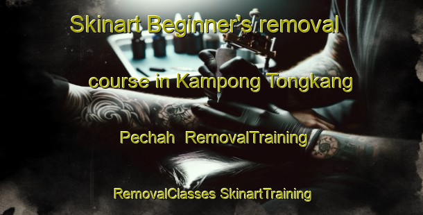 Skinart Beginner's removal course in Kampong Tongkang Pechah | #RemovalTraining #RemovalClasses #SkinartTraining-Singapore