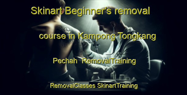 Skinart Beginner's removal course in Kampong Tongkang Pechah | #RemovalTraining #RemovalClasses #SkinartTraining-Singapore